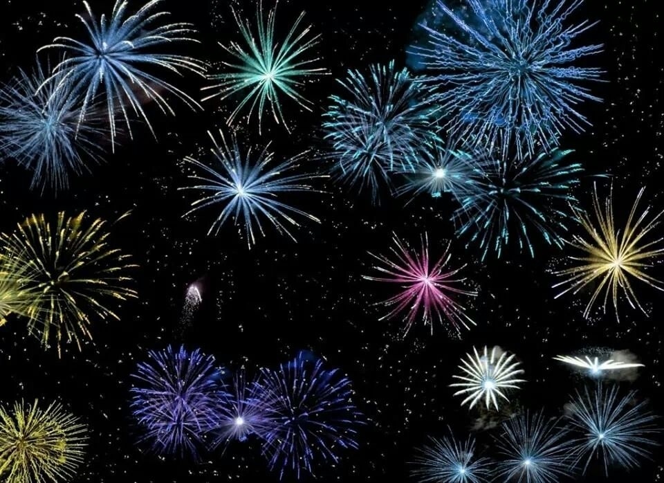 Hond schrikt van vuurwerk en flitsen